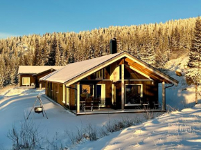 Brand new large cabin with sauna and ski in out